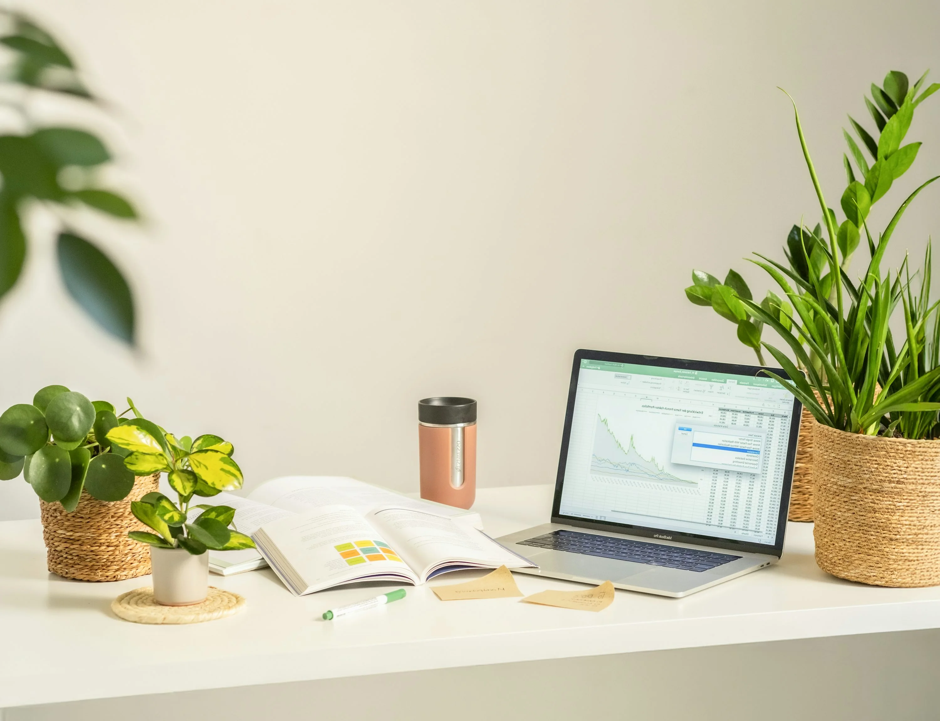 A bright workspace with a laptop, open book, and green plants on a clean desk
